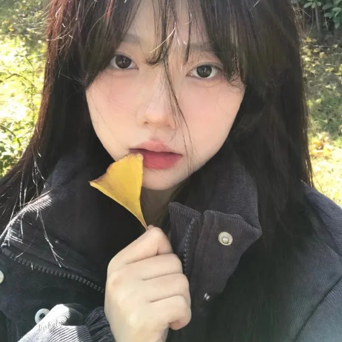 濠情岁月