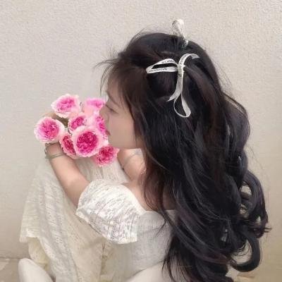 护宝风云